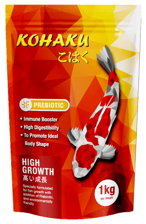 kohaku high growth