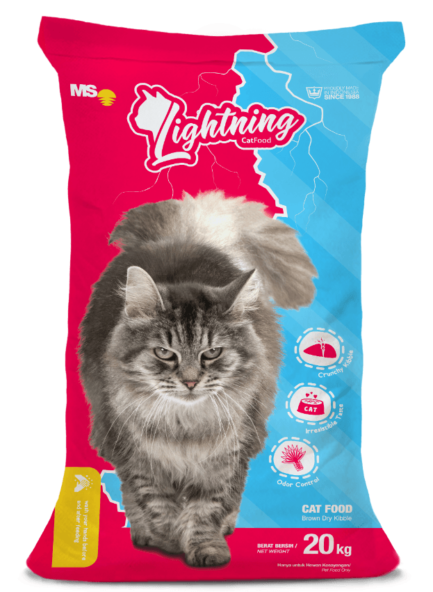 lightning cat